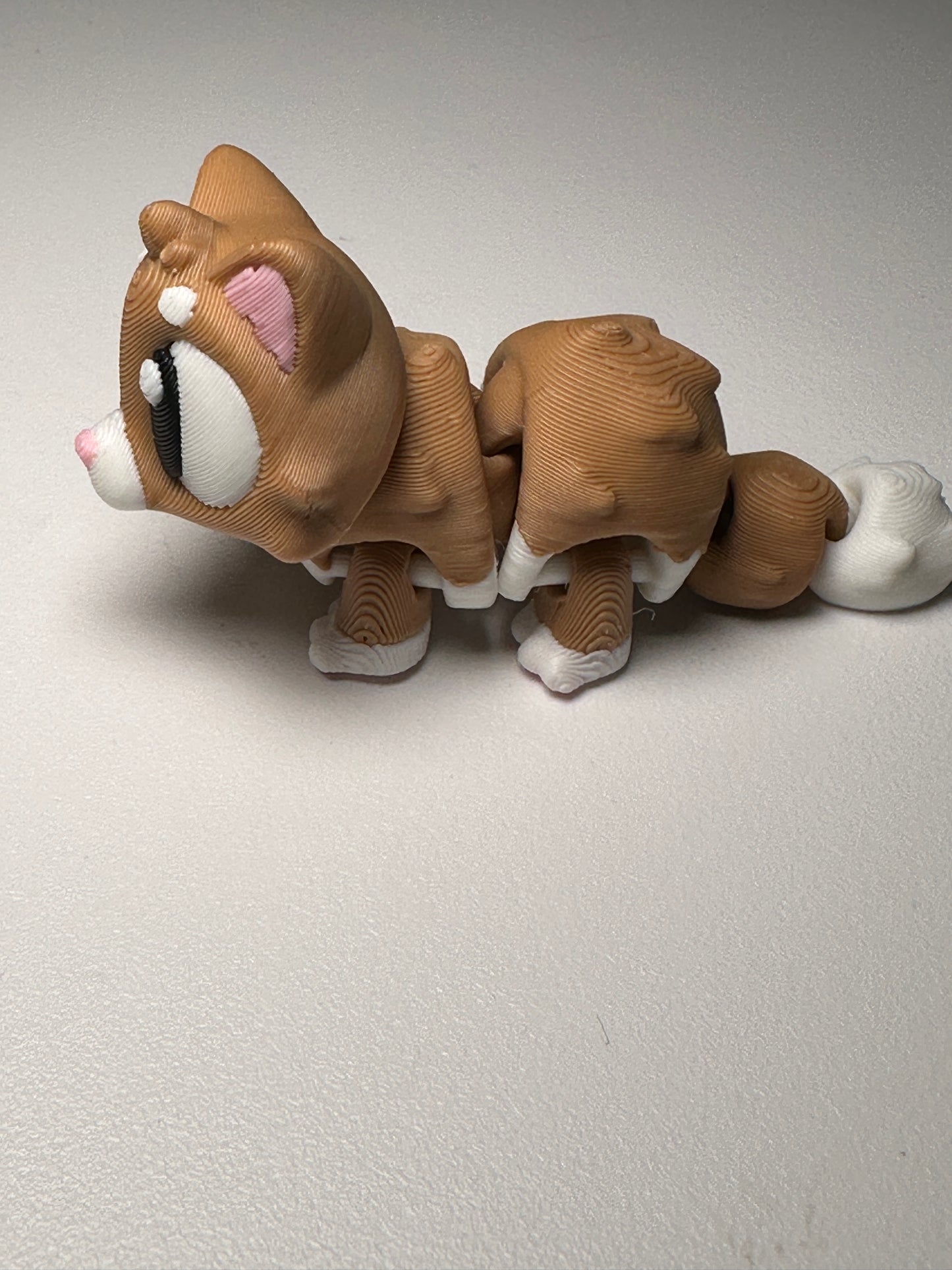 Cute Cat House