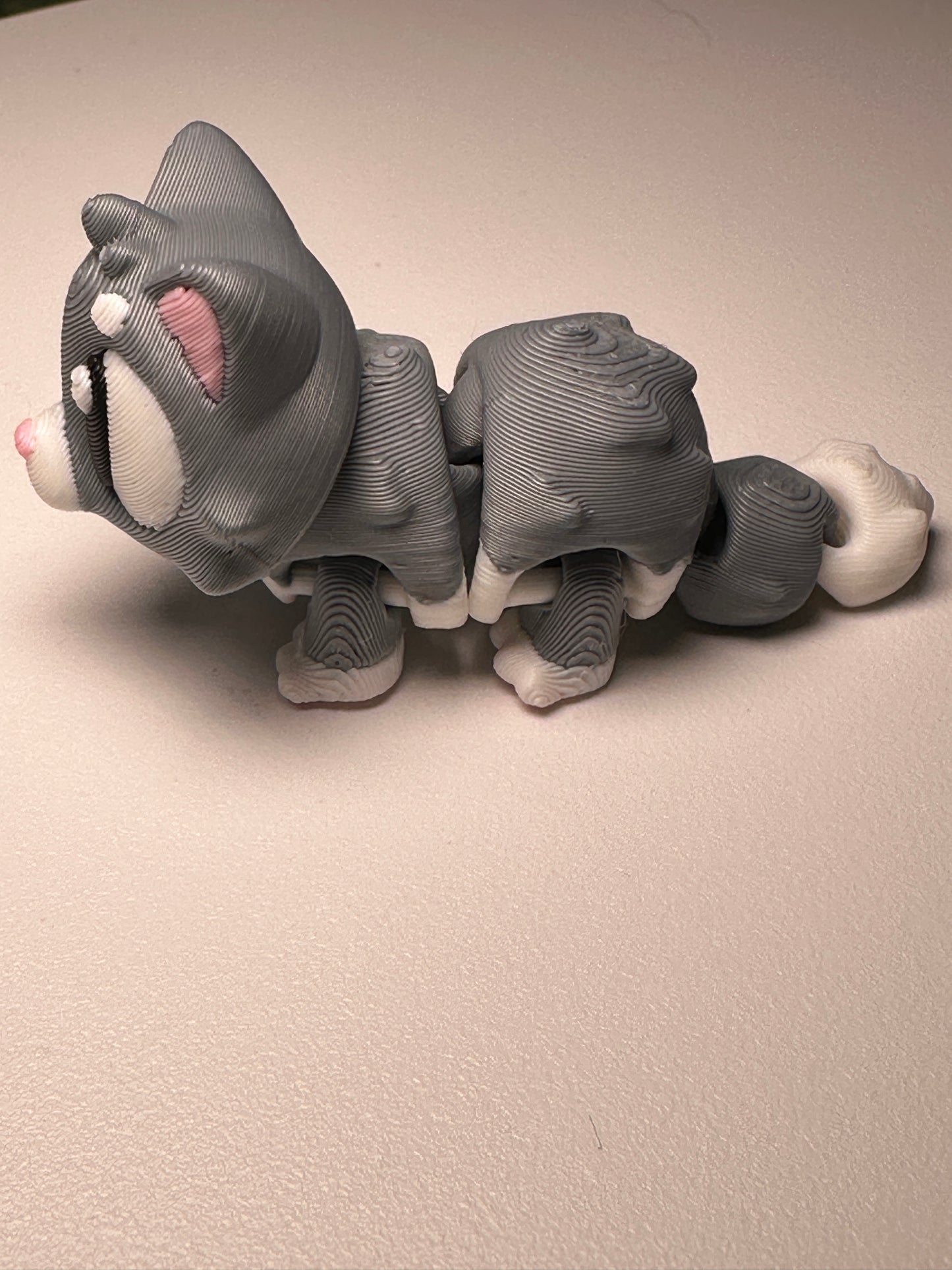 Cute Cat House