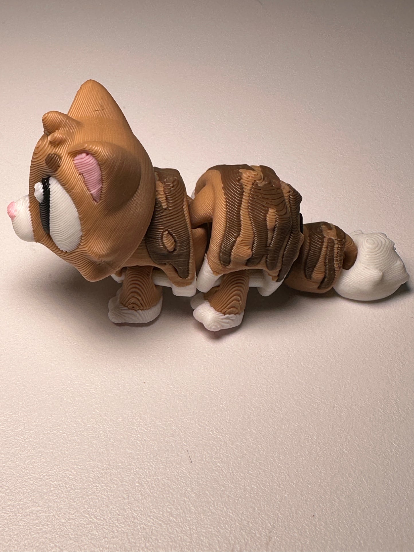 Cute Cat House