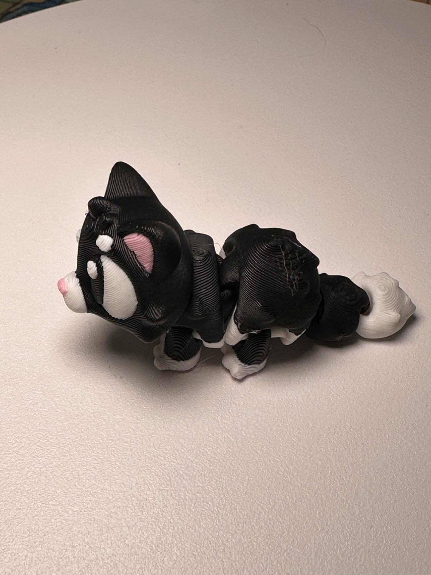 Cute Cat House